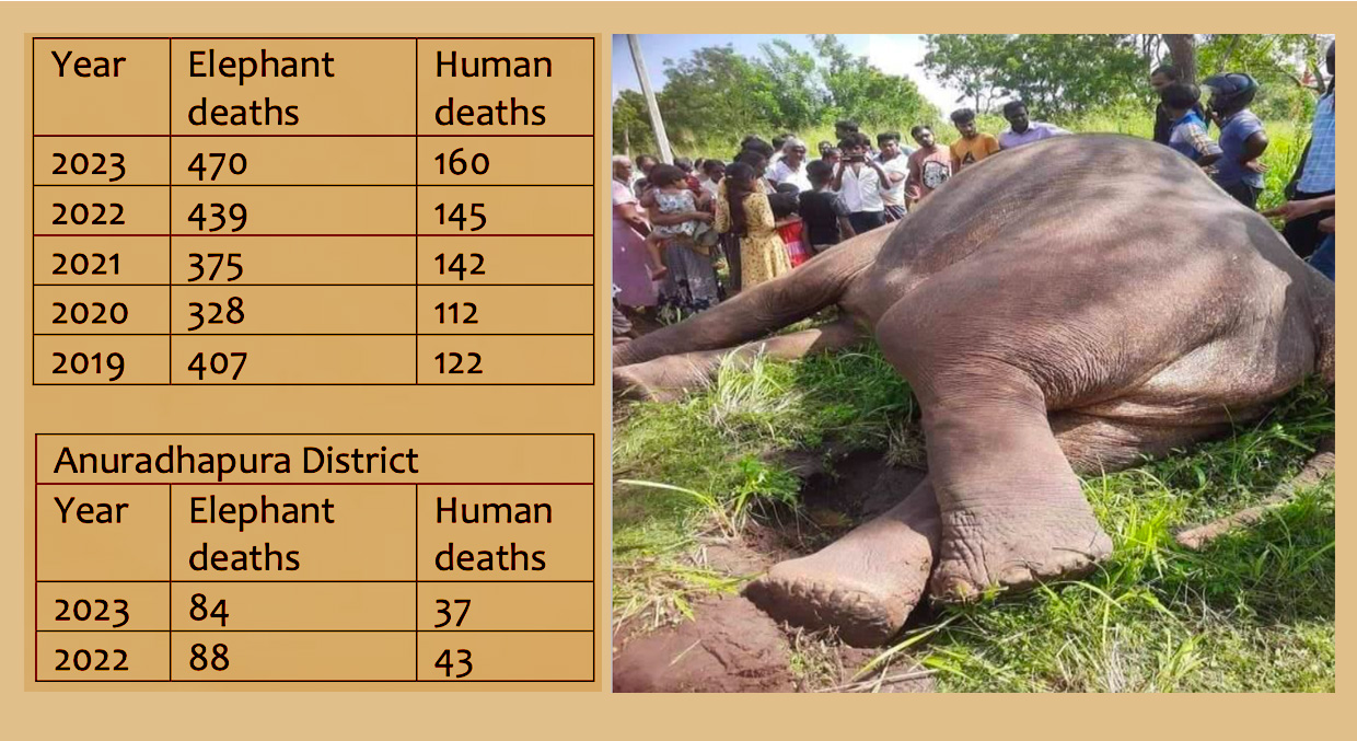 Statictics of Human Elephant Conflict Sri Lanka