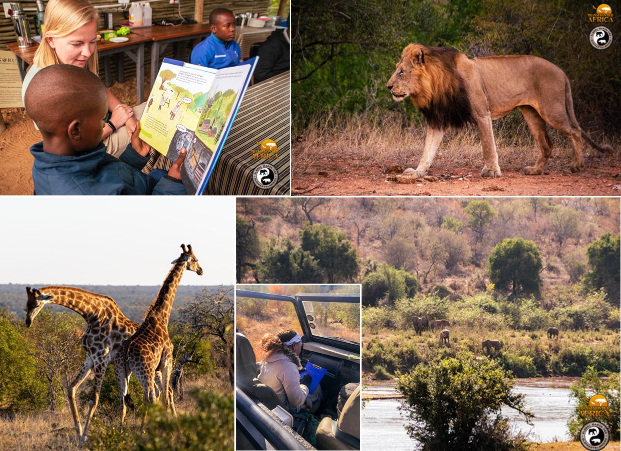 Collarge image of the Mambas in the Park program