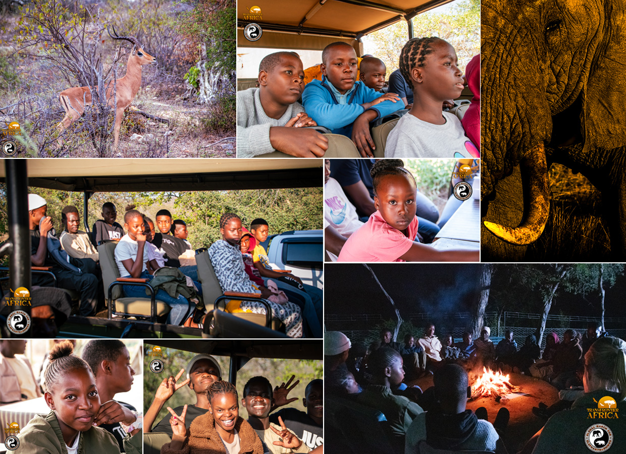 Collarge image of the Mambas in the Park program