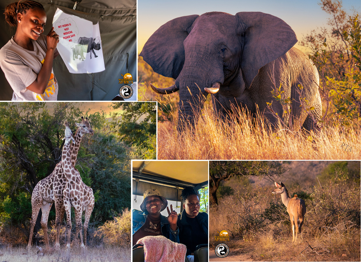 Collarge image of the Mambas in the Park program