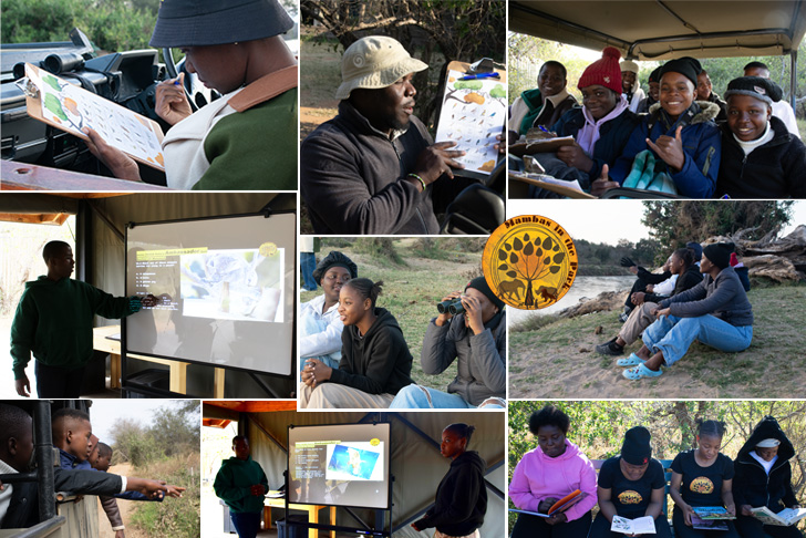 Collarge image of the Mambas in the Park program - August 2026